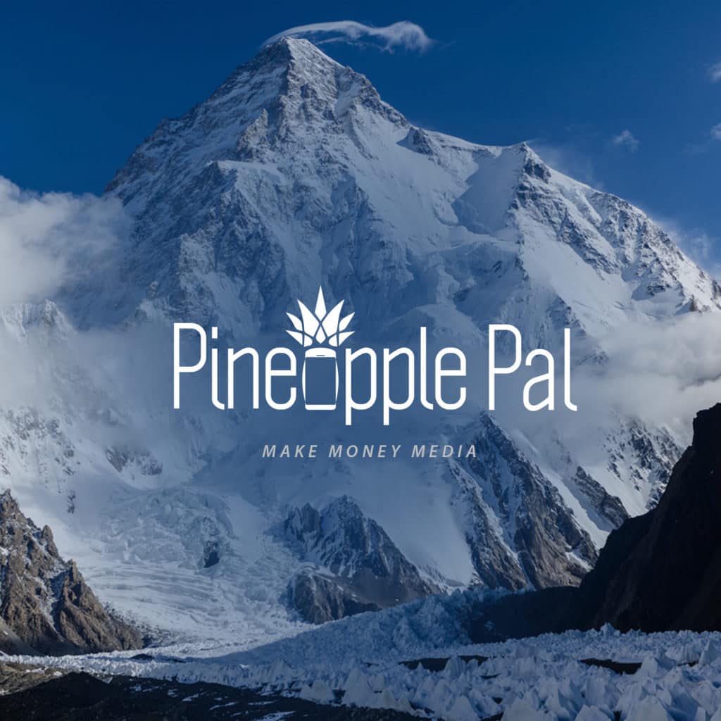 Brand Development Pineapple Pal